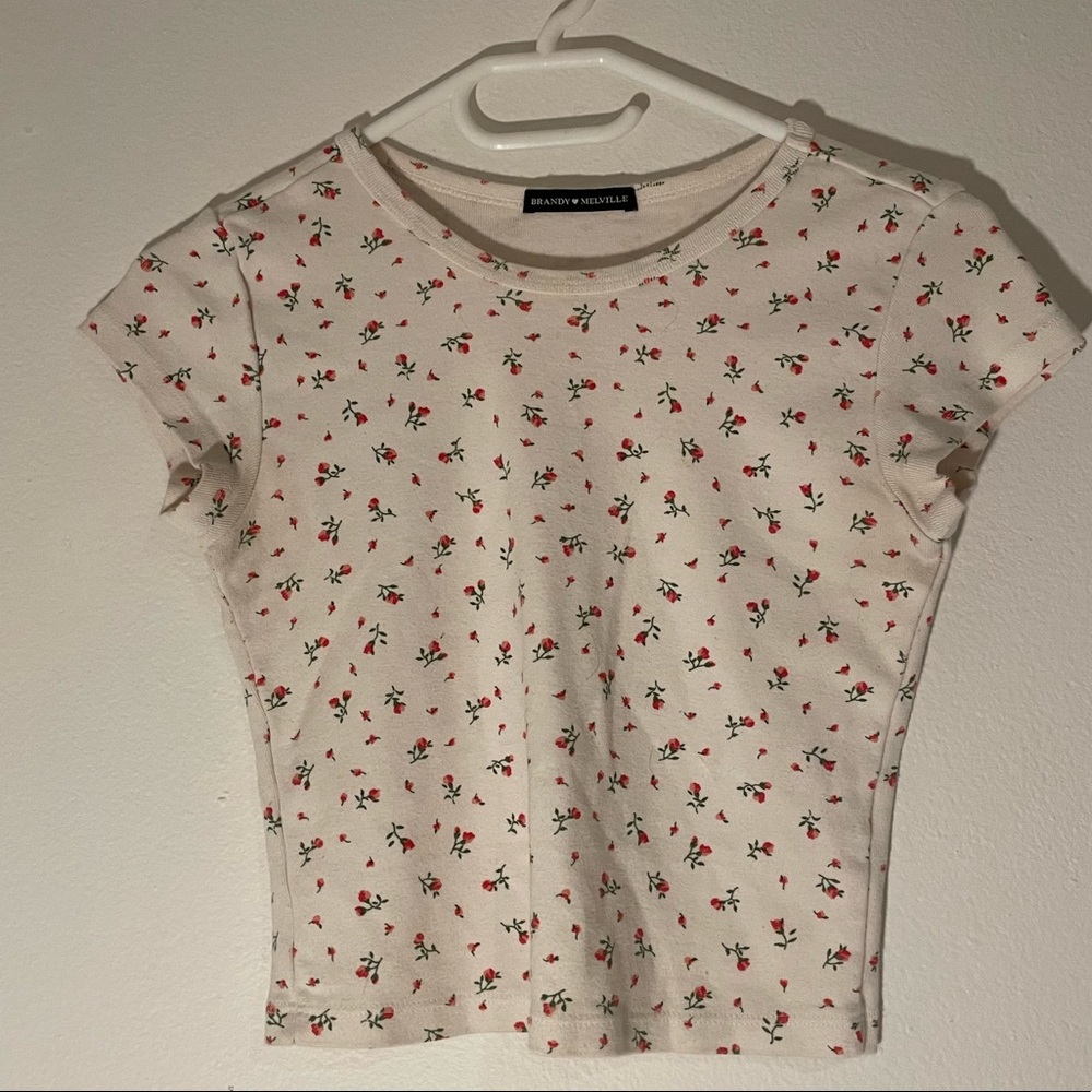 brandy melville cropped floral t-shirt